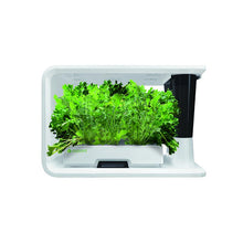 Load image into Gallery viewer, AS9003 Salad Special (8 Capsules)